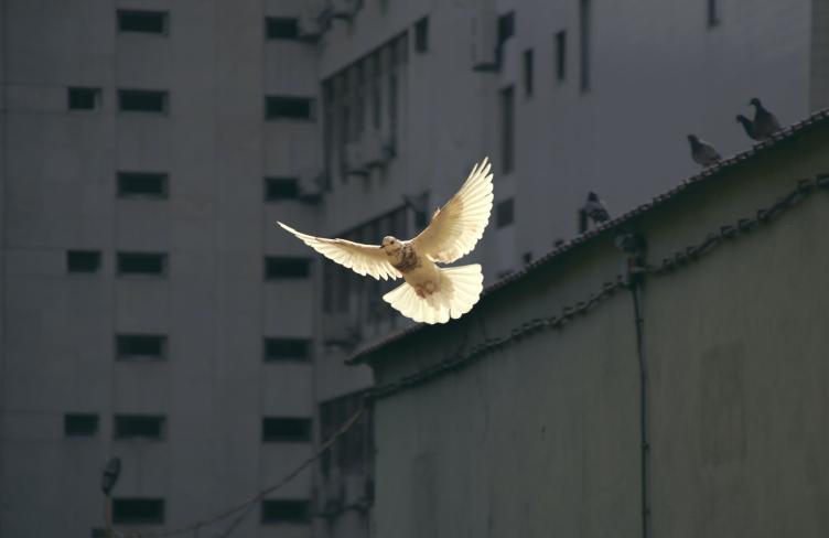 sunyu-JhqBxsORuXA-unsplash_0.jpg sunyu-JhqBxsORuXA-unsplash_0.jpg