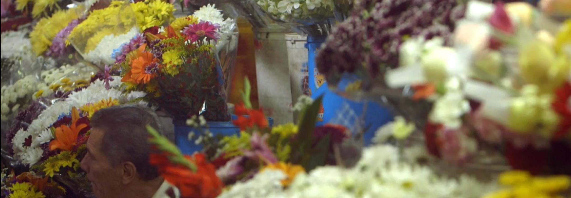 Flowers Asia.jpg Flowers Asia.jpg