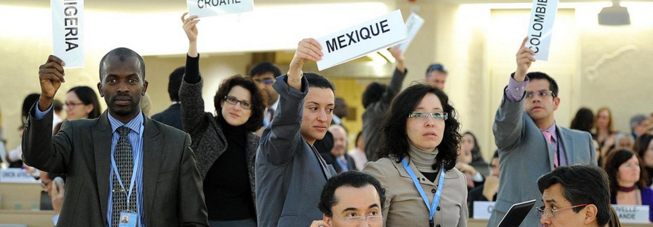 Violaine Martin, UN Geneva_HRC 2012c.jpg