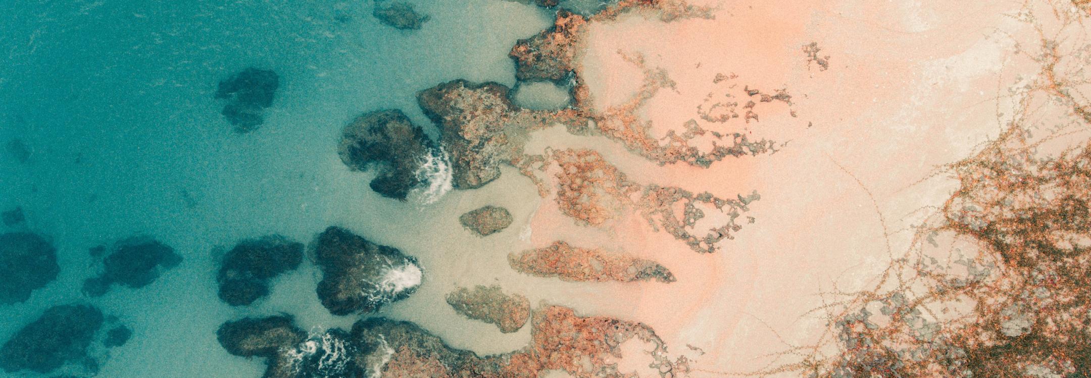 a-befendo-K91P-Xge2-A-unsplash.jpg a-befendo-K91P-Xge2-A-unsplash.jpg