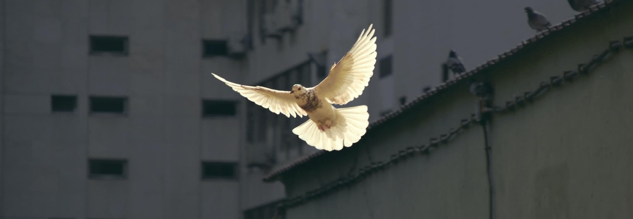 sunyu-JhqBxsORuXA-unsplash_0.jpg sunyu-JhqBxsORuXA-unsplash_0.jpg