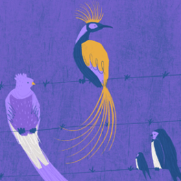 Bird variety