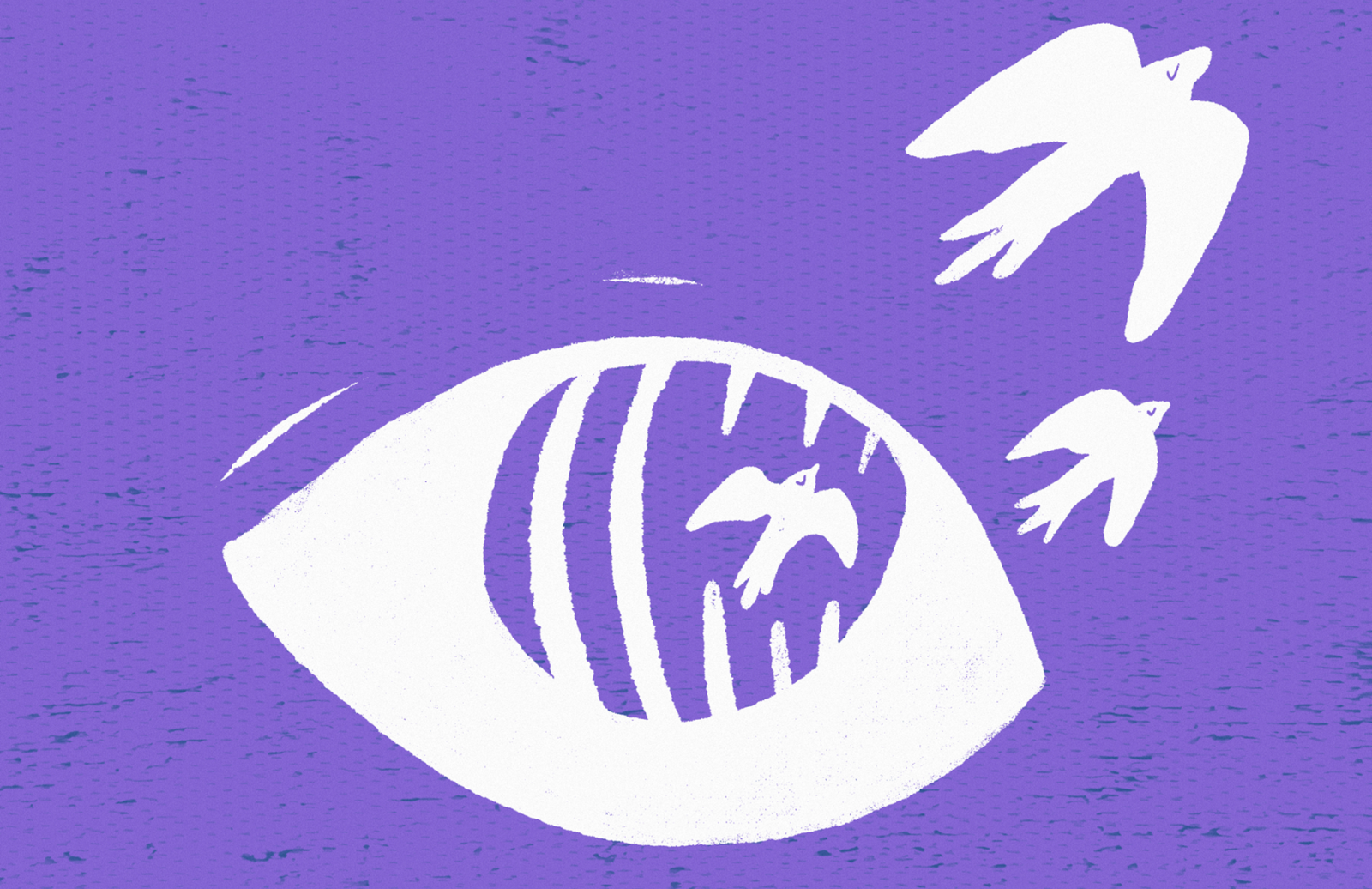 Eye