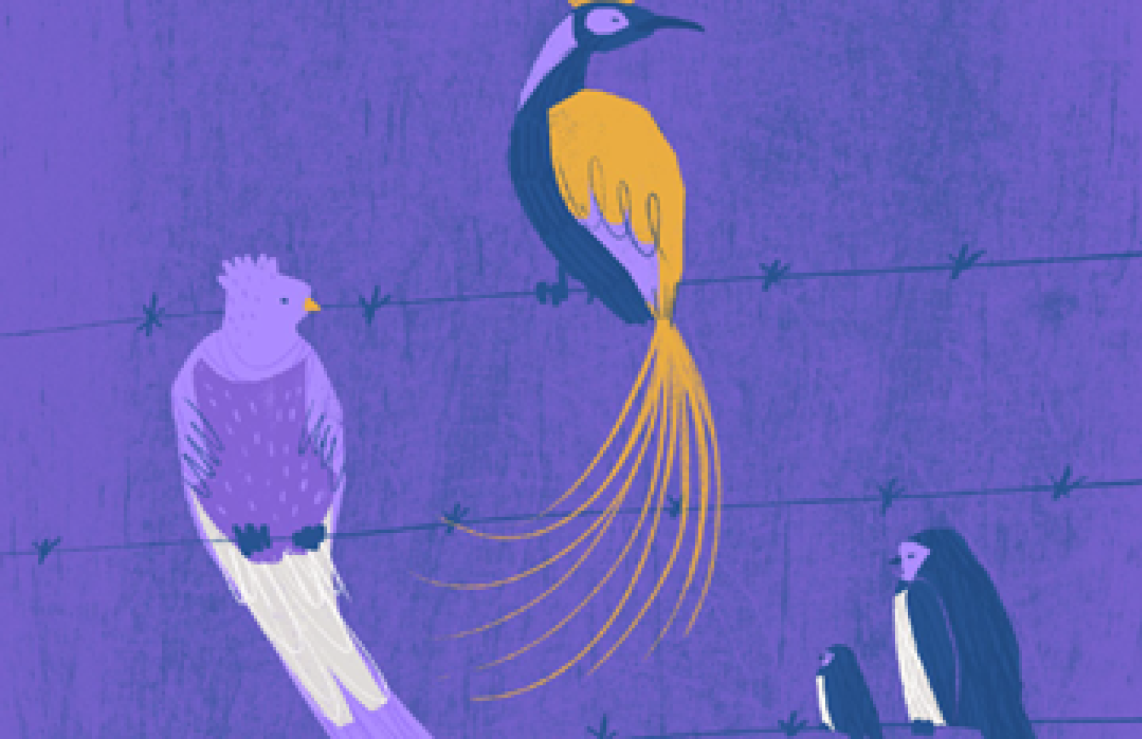 Bird variety